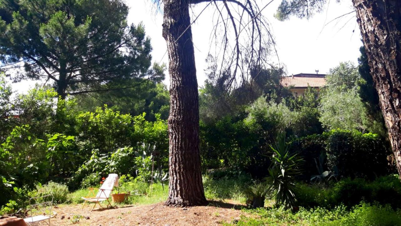 B&B Etnea Centoundici Николози Экстерьер фото