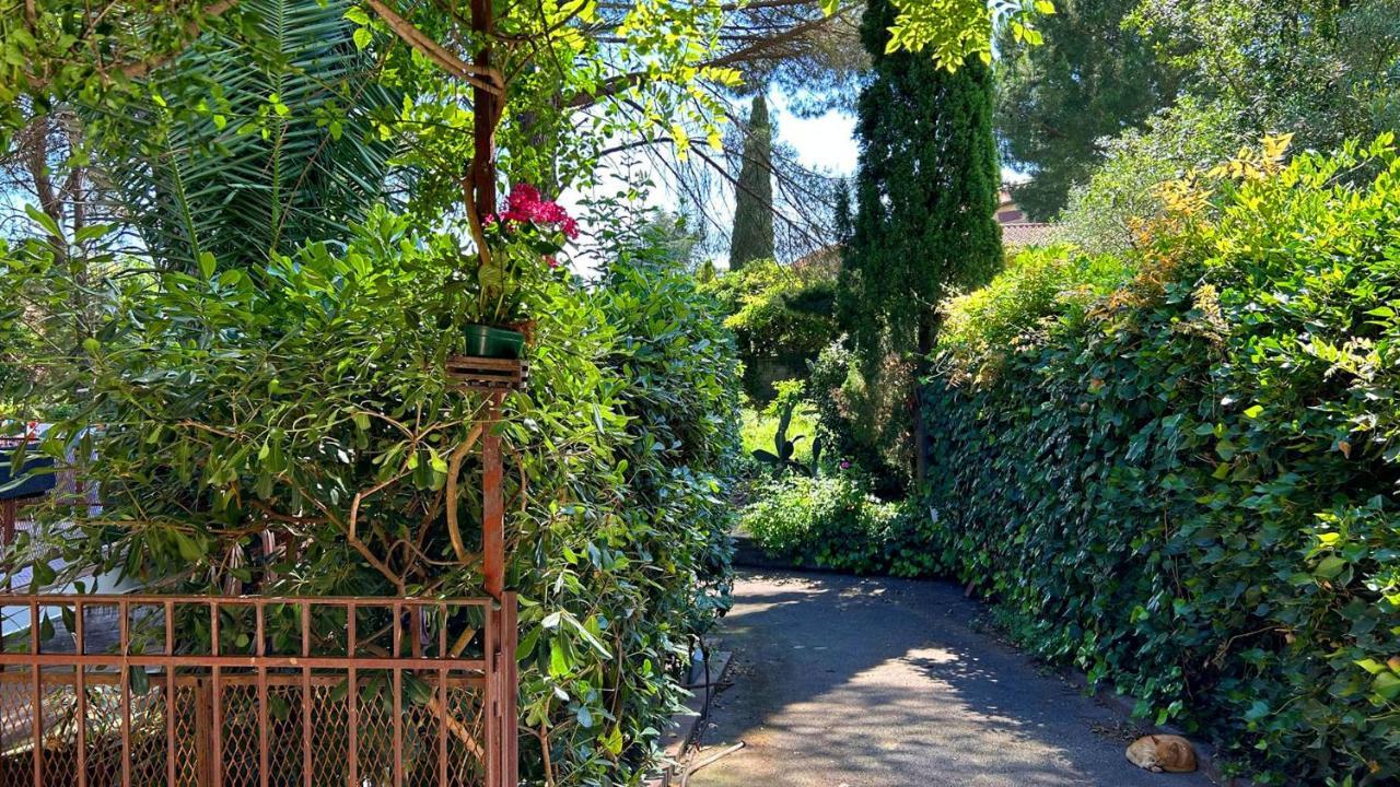 B&B Etnea Centoundici Николози Экстерьер фото